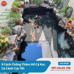 9 Cách Chống Thấm Hồ Cá Koi, Cá Cảnh Tốt, Báo Giá 2025
