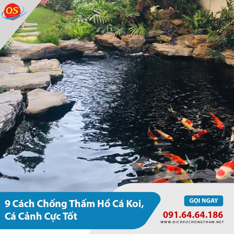 9 Cách Chống Thấm Hồ Cá Koi, Cá Cảnh Tốt, Báo Giá 2025