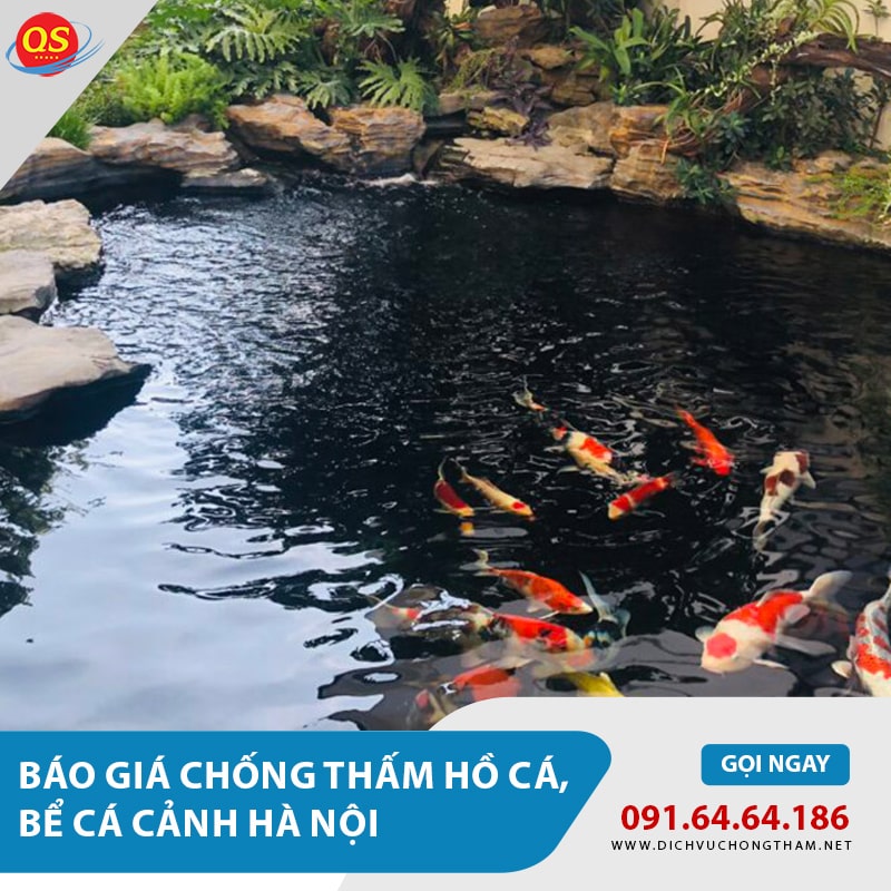Báo giá chống thấm hồ cá, chống thấm bể cá tại Hà Nội