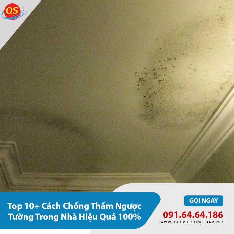 Top 10+ Cách Chống Thấm Ngược Tường Trong Nhà Hiệu Quả 100%